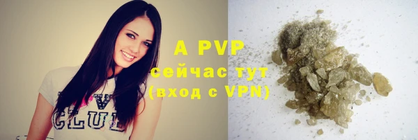 СК Магадан