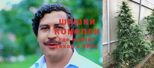 мяу мяу мука Магас