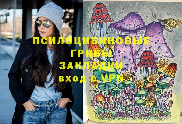 а пвп мука Ладушкин