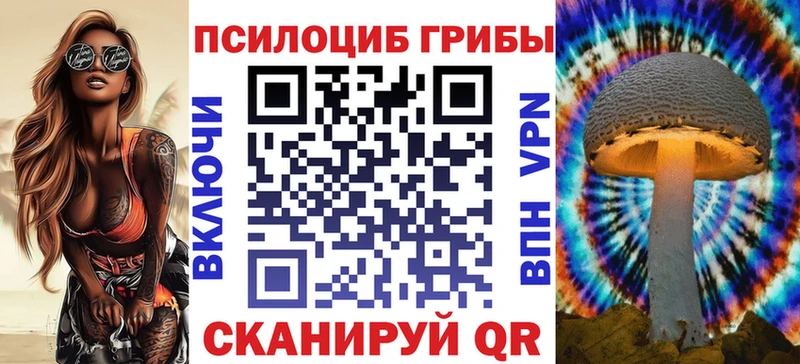как найти   Медвежьегорск  Галлюциногенные грибы мицелий 