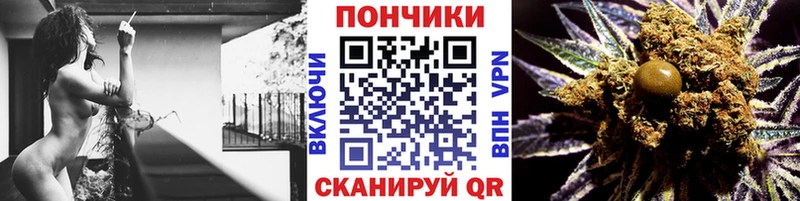где продают наркотики  Медвежьегорск  Бошки Шишки план 